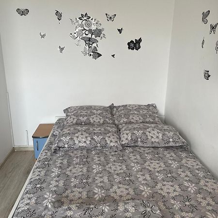Studio Ianis Bukurešť Exteriér fotografie