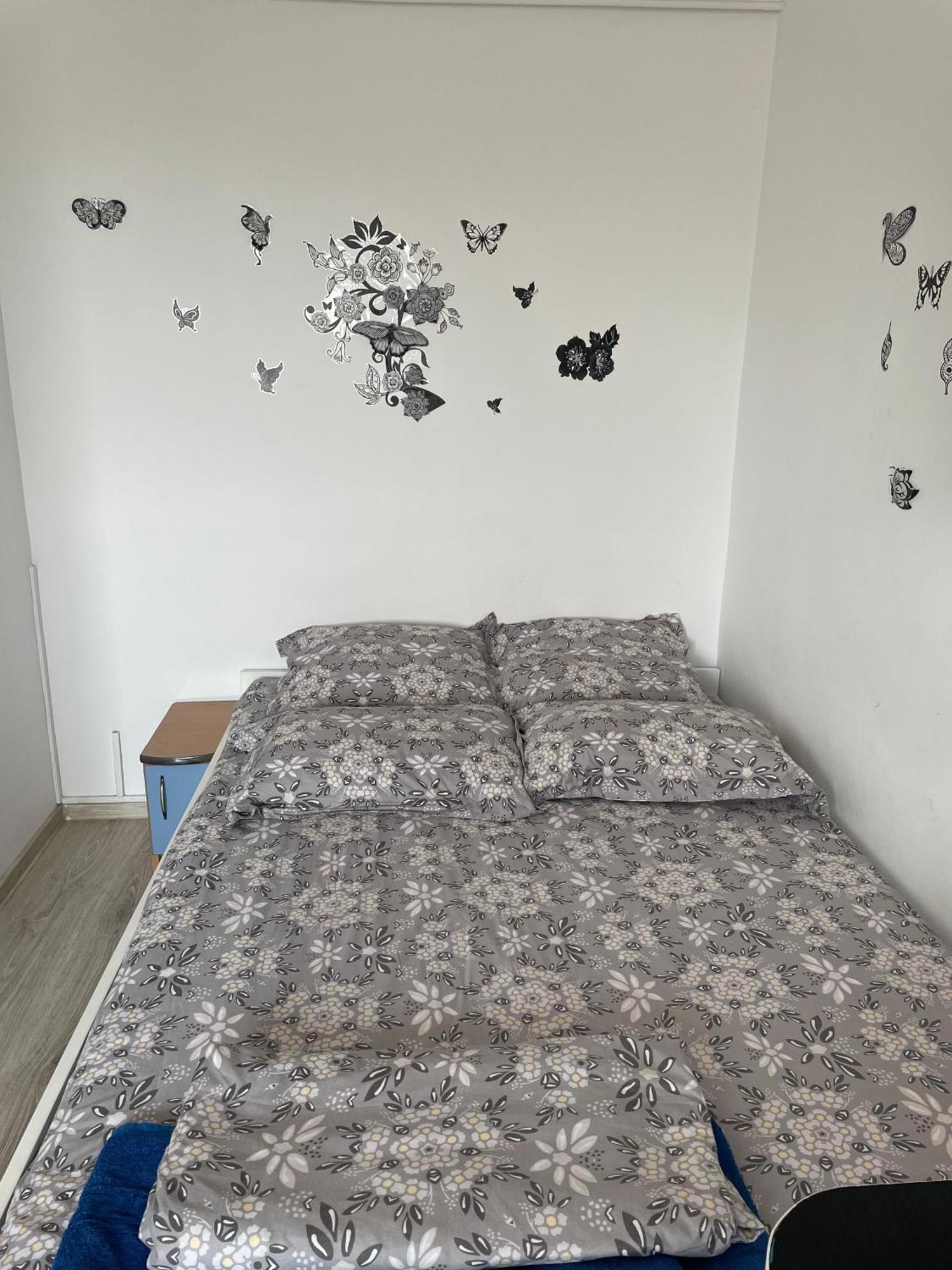 Studio Ianis Bukurešť Exteriér fotografie